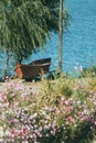 Vertical shot of wild flowers with a small boat under a tree near water Royalty Free Stock Photo