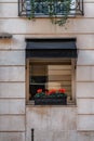 Vertical shot of windowsills decorated with plants in Paris, France