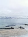 Vertical shot of the winter in the Arctic region, Hillesoy, Kvaloya Island, Tromso, Norway Royalty Free Stock Photo