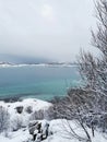 Vertical shot of the winter in the Arctic region, Hillesoy, Kvaloya Island, Tromso, Norway Royalty Free Stock Photo