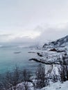 Vertical shot of the winter in the Arctic region, Hillesoy, Kvaloya Island, Tromso, Norway Royalty Free Stock Photo