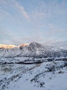 Vertical shot of the winter in the Arctic region, Kvaloya Island, Tromso, Norway Royalty Free Stock Photo