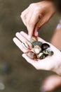 Vertical shot of a woman holding seashells Royalty Free Stock Photo