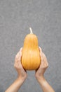 Vertical shot, woman`s hands holding pumpkin for your design on gray background