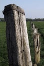 Vertical shot of wooden barbwire fence Royalty Free Stock Photo