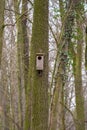 Vertical shot of a wooden birdhouse affixed on the trunk of a large tree in a rustic forest setting