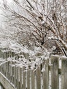 Vertical shot of a wooden fence in Larvik, Norway in winter Royalty Free Stock Photo