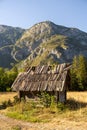 Vertical shot of a wooden house in the forest in Bohinj, Slovenia