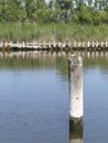 Vertical shot of a wooden pole in the channel between Varel harbour and sluice