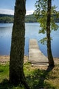 Vertical shot of a wooden pontoon on lake Vassiviere, Creuse and Haute Vienne departments, France Royalty Free Stock Photo