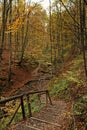 Vertical shot of wooden stairs in a forest surrounded by mossy rocks and trees in autumn Royalty Free Stock Photo
