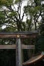 Vertical shot of a wooden Torii with trees in the background