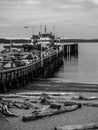 Vertical shoto of Fauntleroy ferry terminal with waiting cars. Black and white