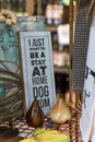 Humorous Dog Mom Sign in Rustic Country Store Royalty Free Stock Photo