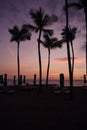 Vertical silhouette of palm trees at the coast of an ocean at sunset in Hawaii Royalty Free Stock Photo