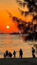 Vertical silhouette of tree, boat, group people on beach with sun and ocean at sunset