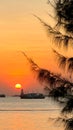 Vertical silhouette of tree and boats with sun and ocean at sunset Royalty Free Stock Photo