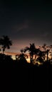 Vertical silhouettes of palm trees and vegetation at sunset, with a beautiful sky in the background