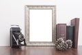 Vertical Silver Frame Royalty Free Stock Photo