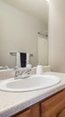 Vertical Small bathroom interior with a vanity unit and toliet against the white wall