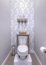 Vertical Small toilet room with white step stool and wall mounted toilet paper holder