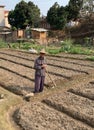 Vertical of a smiling farmer in the middle of work in a rural area in China