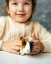 Vertical smiling, positive, playful, satisfied little girl holding, play with small guinea pig sitting on white table Royalty Free Stock Photo