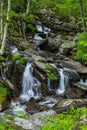 Vertical Smoky Mountain Waterfall Landscape Royalty Free Stock Photo