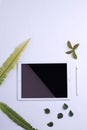Front view of white tablet computer with blank screen mockup Royalty Free Stock Photo