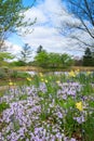 Vertical Spring Garden Background Vienna Virginia