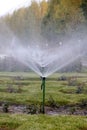 vertical sprinkler of the flower watering system on a flower bed