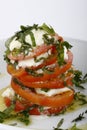 Vertical stack of tomato and mozzarella salad with shredded greens Royalty Free Stock Photo