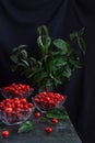 Vertical still life with wild berries Royalty Free Stock Photo