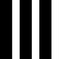 Vertical straight black lines pattern