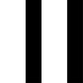 Vertical straight black lines pattern