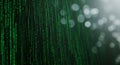 Vertical streams of green binary code cascade down a dark background, reminiscent Royalty Free Stock Photo