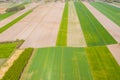 Vertical stripes of agricultural parcels of different crops. Aerial view shoot from drone directly above field Royalty Free Stock Photo