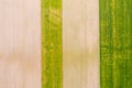 Vertical stripes of agricultural parcels of different crops. Aerial view shoot from drone directly above field Royalty Free Stock Photo