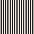 Vertical stripes vector seamless pattern. Black