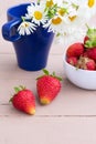Vertical summer Vertical summer composition of two ripe strawberries and chamomile of two ripe strawberries and chamomile flowers Royalty Free Stock Photo