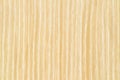 Vertical texture of light brown oak veneer Royalty Free Stock Photo