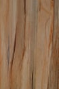 Vertical texture wood background abstract pattern