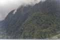 Almost vertical thick rain forest vegetation on steep slope at fjord shore,  Milford Sound, New Zealand Royalty Free Stock Photo