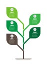 Vertical Time line infographics. The sustainable development and growth of the eco business. Timeline trends in research. Business