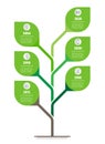Vertical Time line infographics. Tree of development and growth of the eco business. Info graphic. Business presentation concept
