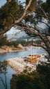 Vertical top view of a cruise ship anchored in a harbour in Makarska, Croatia captured through trees Royalty Free Stock Photo