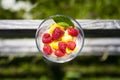 Vertical top view of healthy fruit yogurt with raspberries, mango and mint leaf on rustic wooden fence