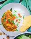 Vertical top view of an Indian curry meal served with rice on a glass plate Royalty Free Stock Photo