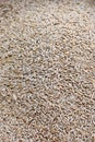 Vertical top view of a pile of rice creates a grainy pattern