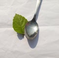 Vertical top view shot of table kitchen silver spon isolated. Silver spon is on a white linens background with negative space.